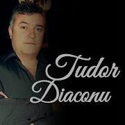 Tudor Diaconu Vacanta