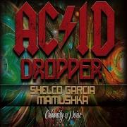 Shelco Garcia Acid Dropper