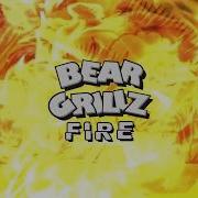 Bear Grillz Fire