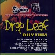 Reggae Mix Reggae Drop Leaf Riddim Sizzla Kalonje T O K Jah Cure Reggae Roots Download Mp3 Mix 2024