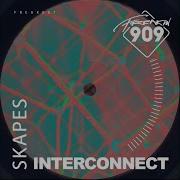 Interconnect Skapes