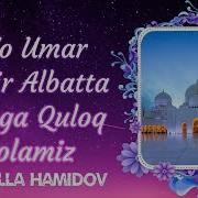 Hayrulla Hamidov Yo Umar Hozr Albatta Senga Quloq Solamiz