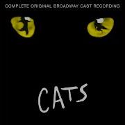 The Ad Dressing Of Cats Andrew Lloyd Webber Original London Cast