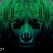 Alpha Portal Astrix Ace Ventura Set Shamanic Tales Live Stream