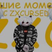 Zxcursed Лучшие Моменты