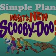 Welcome Scooby