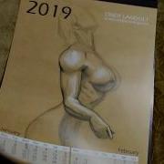 Cindy Landolt Calendar 2019