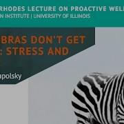 Why Zebras Don T Get Ulcers Stress And Health By Dr Robert Sapolsky