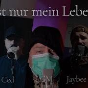 Cedmusic Mein Weg