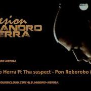 Alejandro Herra Pon Roborobo