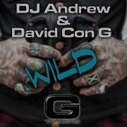 Dj Andrew Wild