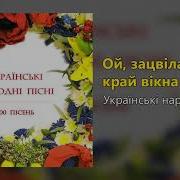 Ой Зацвіла Ружа Край Вікна Українські Народні Пісні