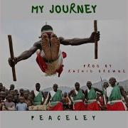 My Journey Peaceley