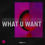 Lukas Vane What U Want Extended Mix