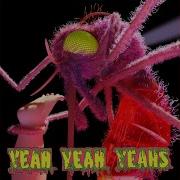 Yeah Yeah Yeahs Mosquito