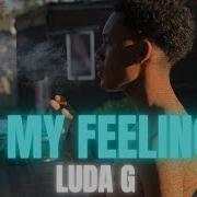 Luda G In My Feelings Young Goat