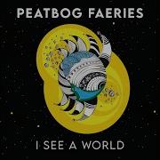 Peatbog Faeries The Humours Of Ardnamurchan Feat Heather Macleod Gina Rae