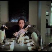 Mr Popper S Penguins Tralier Fox Family