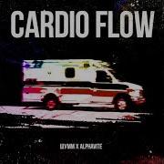 Шумм Feat Алфавит Cardio Flow