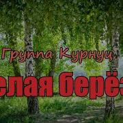 Курнуц Белая Берёза Скачать