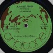 Nkengas 10 Jungle Funk Extra