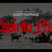 Sleepytheprince Espírito Ninja Sleepytheprince