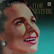 Flor Silvestre Mi Destino Fue Quererte Visualizador Oficial Flor Silvestre