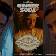 Krishna Kishor Ginger Soda