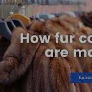 Change Resistance Fur Coat