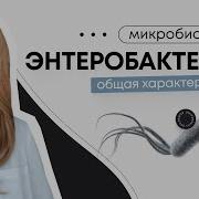 Микробиалогия