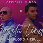 Cosita Linda Jencarlos Pitbull