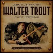 Somebody 039 S Acting Like A Child Walter Trout