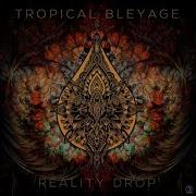 Tropical Bleyage Ex Universe