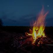 Great Owl Sound Soothing Nature Fire Sound