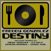 Destiny Diego Sanchez Remix Freddy Gonzalez