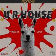 U R House Dub Mix Micfreak