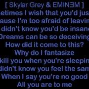 Eminem Twisted Ft Skylar Grey Yelawolf Lyrics The Eminem Corner