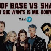 Ace Of Base Mush Up