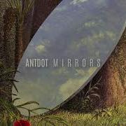 Antdot Reflections