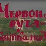 Фільм Про Перший Фестиваль Червона Рута Квітка Надії 1989 Р Укртелефільм