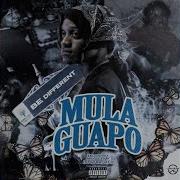 Mula Guapo Did It Mean Nothing