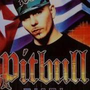 Shake It Up Pitbull Oobie