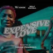 Wadude Expensive Love Ft Bella Shmurda Official Video Wadude