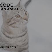 Voice Of An Angel Fresh Code