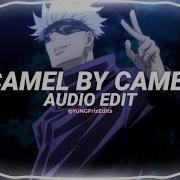 Camel By Camel Sandy Marton Edit Audio