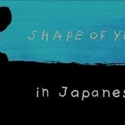 Shape Of You Ed Sheeran English 日本語 Lyrics