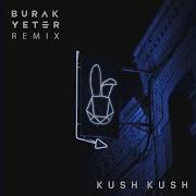 I M Blue Burak Yeter Remix Kush Kush Burak Yeter