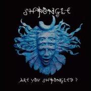 Shpongle Are You Shpongled