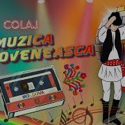 Muzica Moldoveneasca 2024