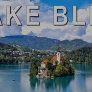 What They Like Bled